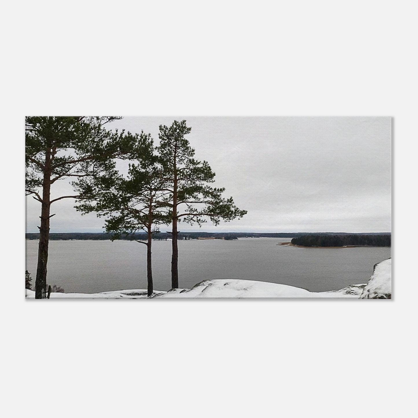 ba7bfed0-6ebc-440c-a79d-05947fe5987c