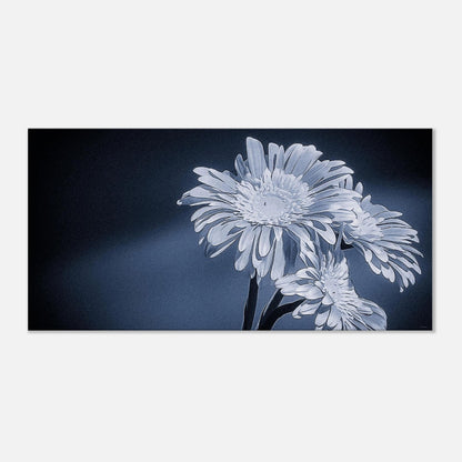 ba9286e9-b8e7-4f85-85c2-5da53e274ad6