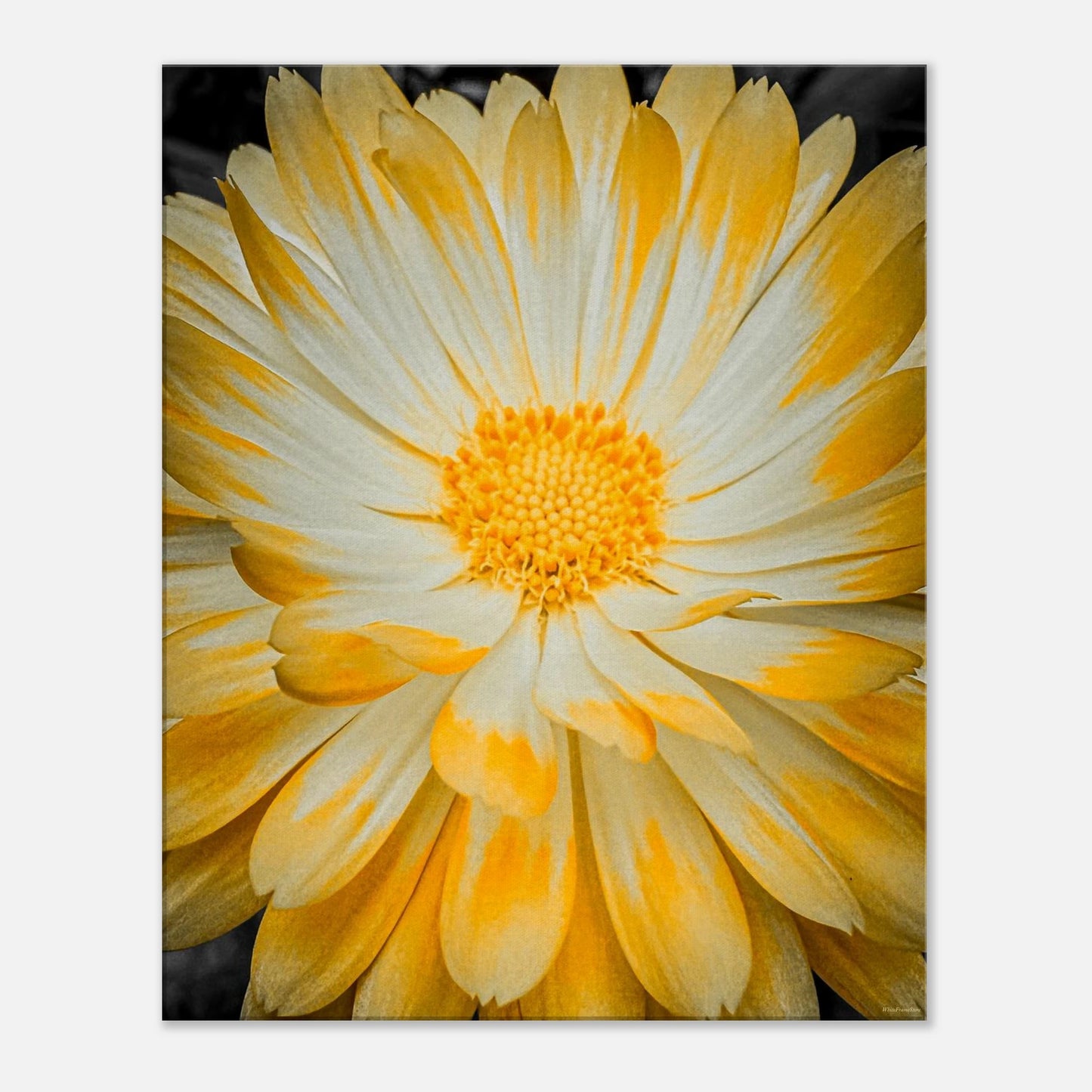 badc2bd4-288a-4901-9208-4cfdf2219058