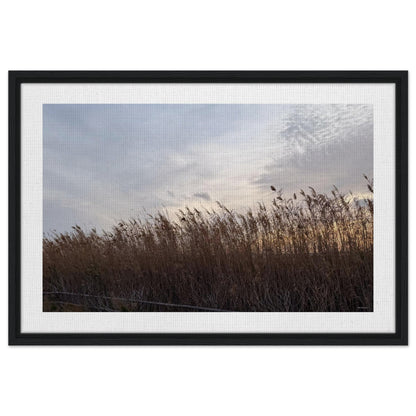 baf3023c-52d7-4b4c-9e88-3b5a9520cf5e