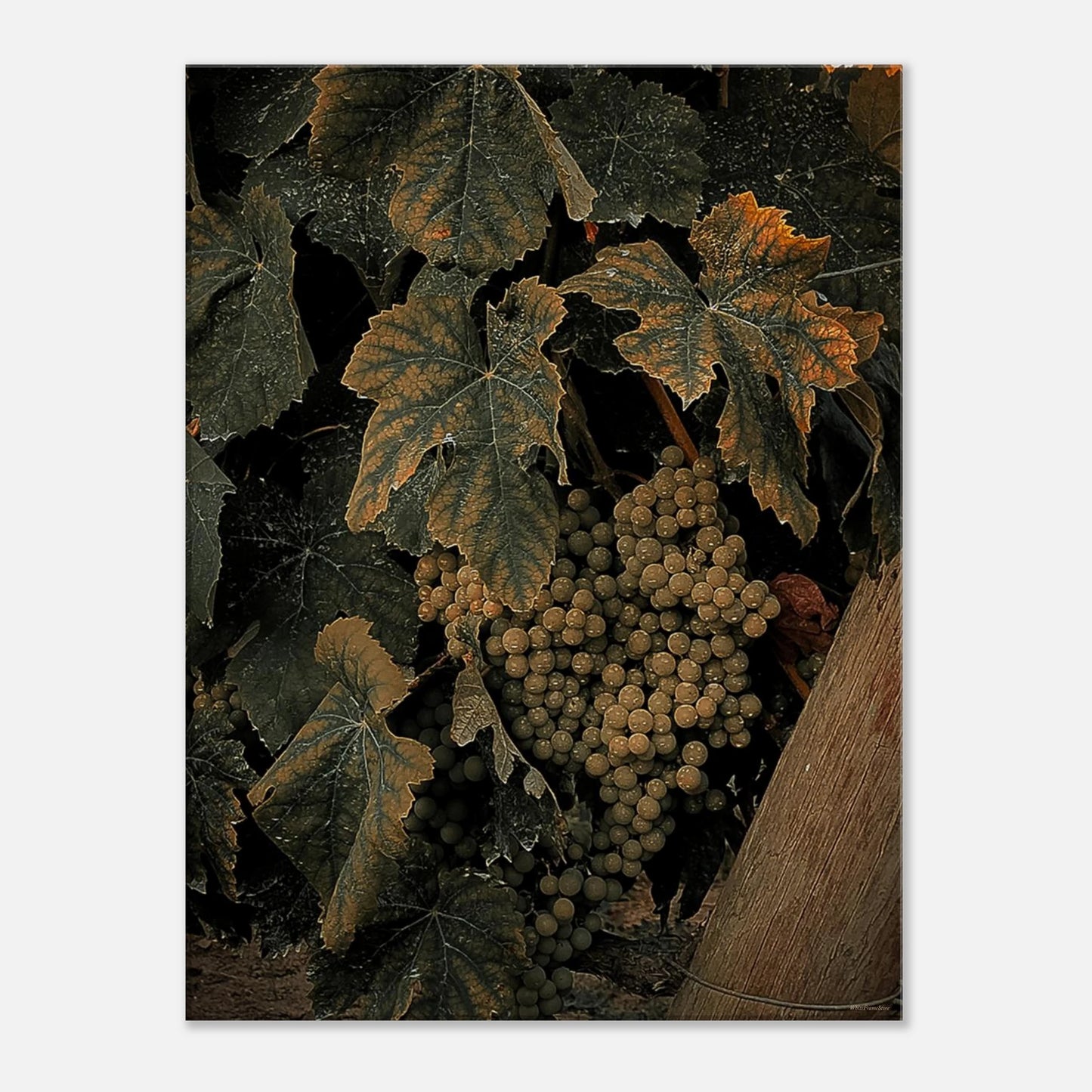 bb1243b6-3a45-44ef-af90-e5b0b5e43183