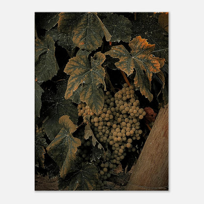 bb1243b6-3a45-44ef-af90-e5b0b5e43183