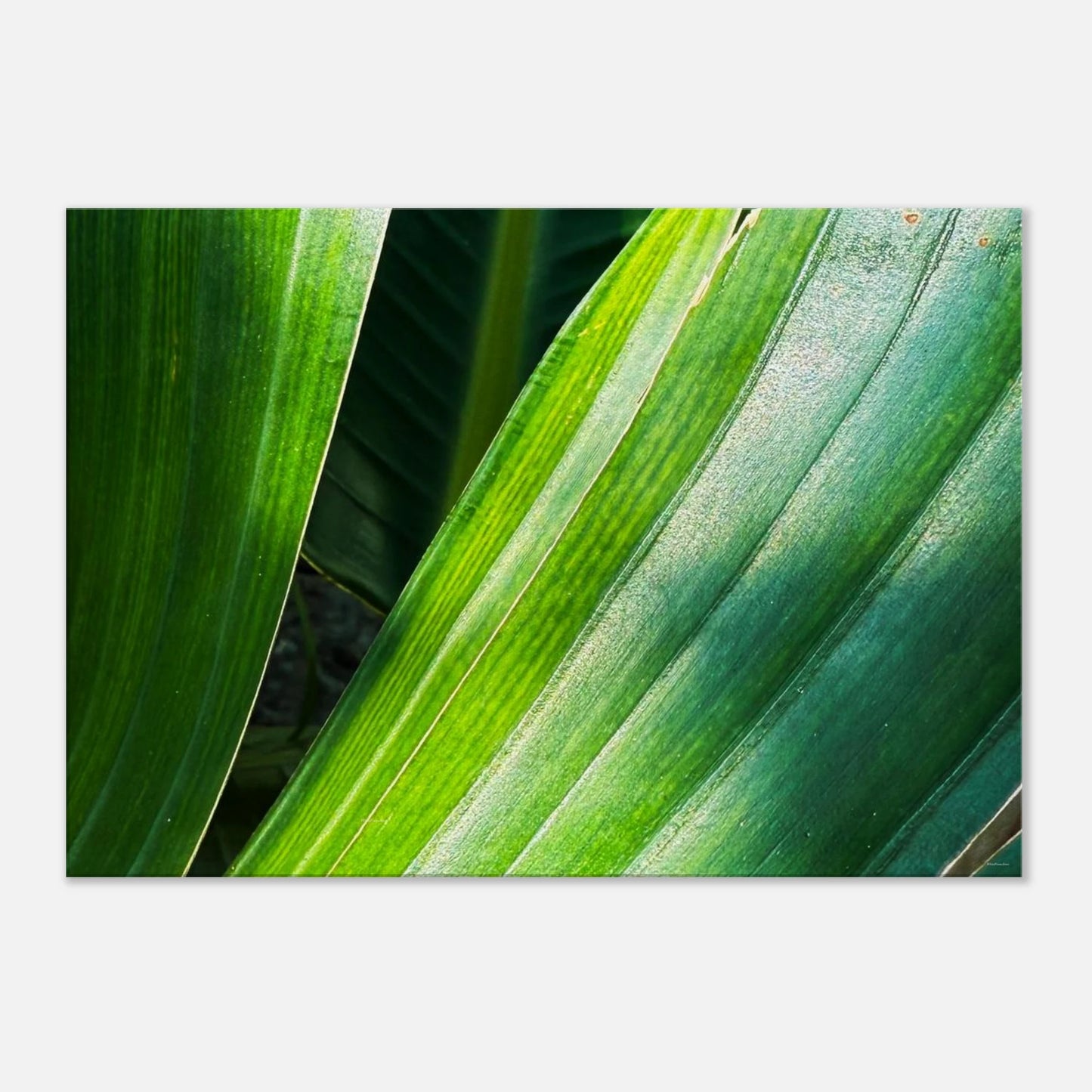 bb188488-e465-4d92-85ae-ddcbd83d396e