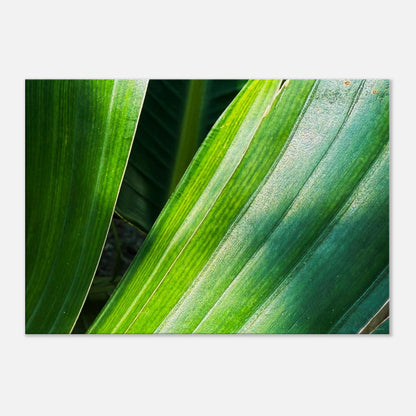 bb188488-e465-4d92-85ae-ddcbd83d396e