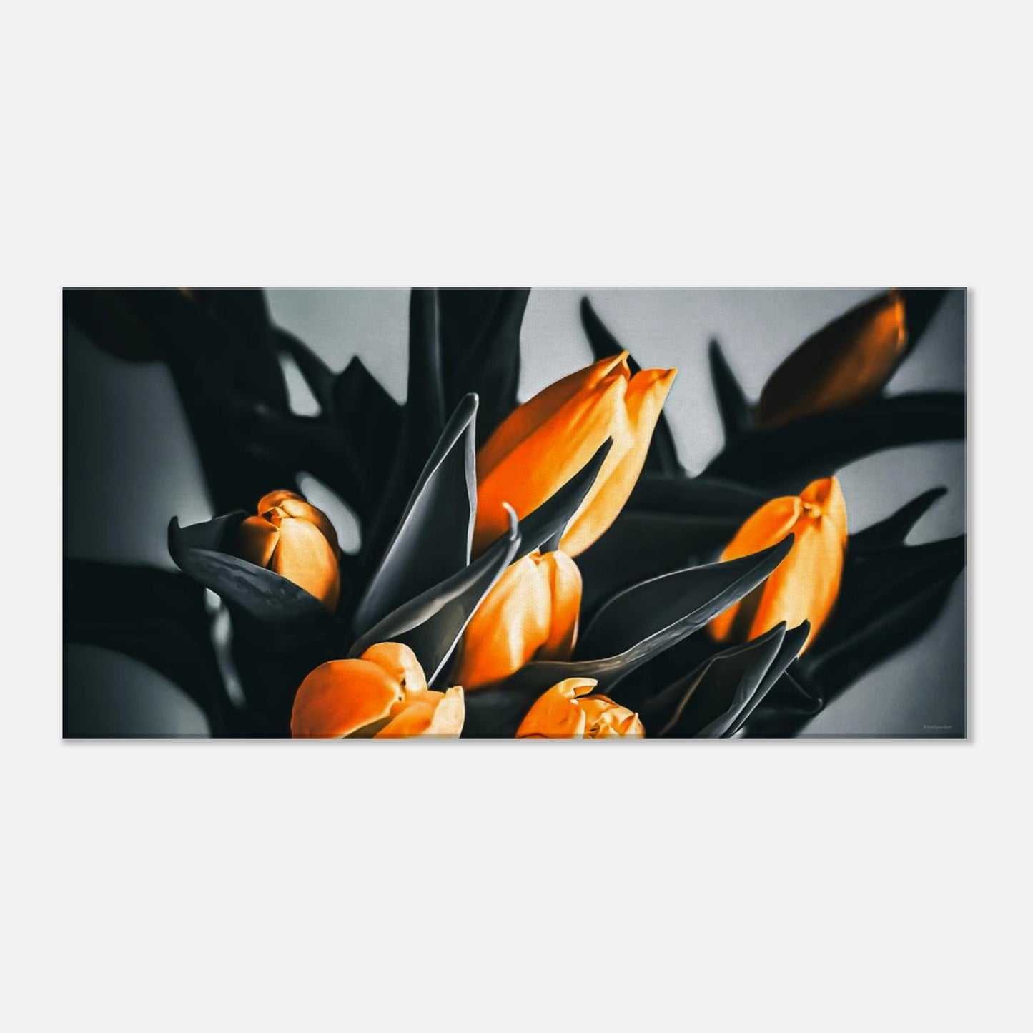 bb2803fe-fd62-4a86-a3e1-781ac173ae38