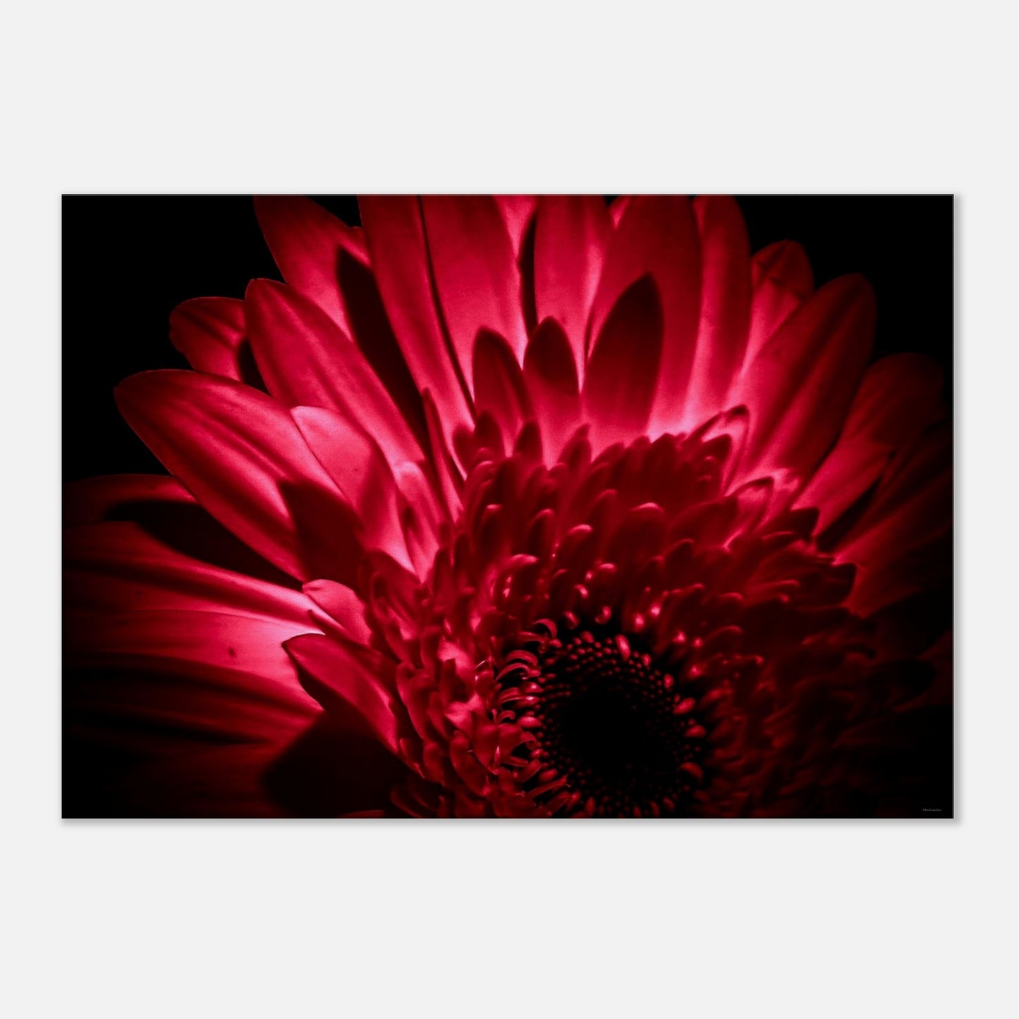 bb509534-d782-4b3f-b616-c50d42b2c528