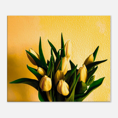 bb7db5d8-843c-4300-8623-7f49b3fc6db7