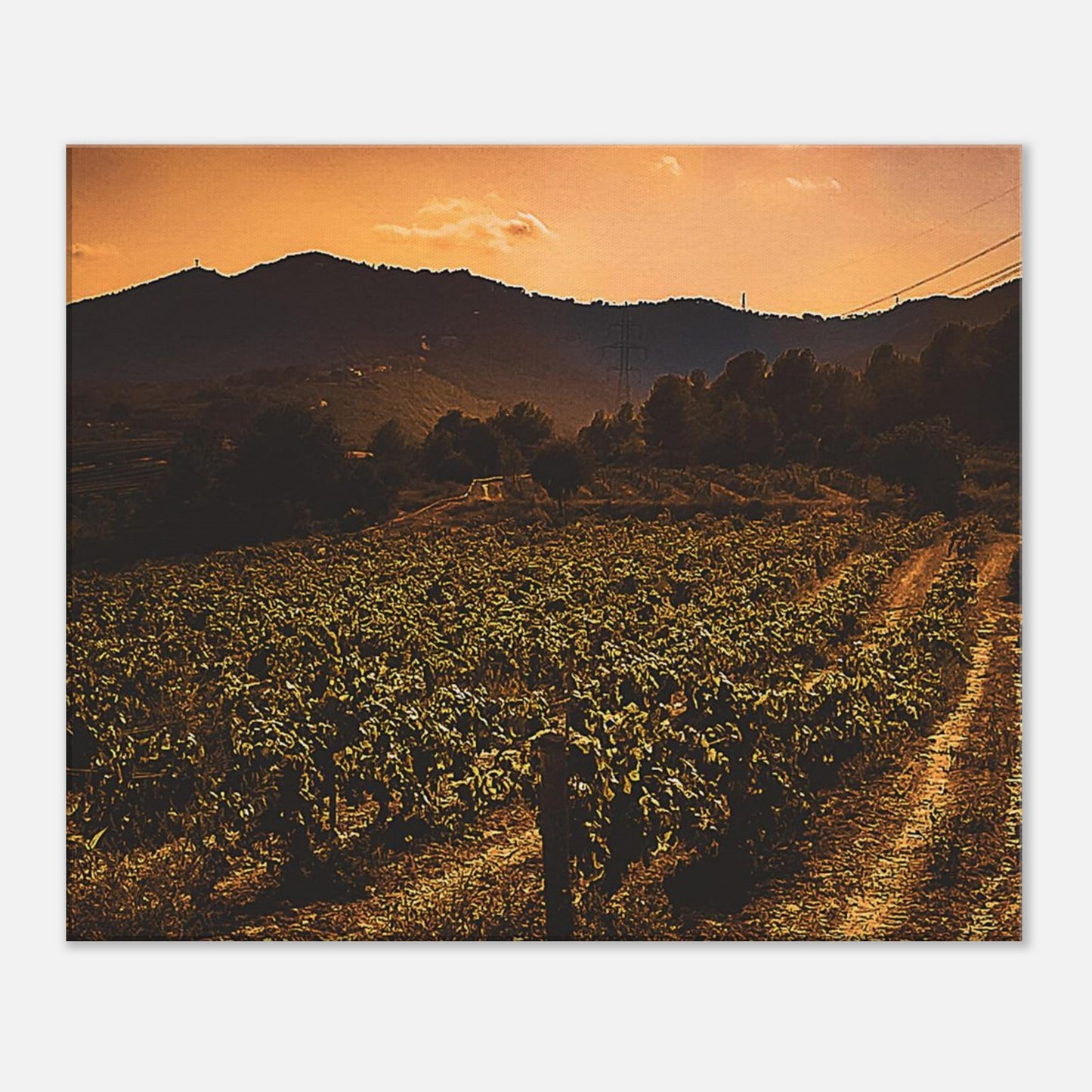 bb9391ba-45d0-481f-a71f-7e2d09419341