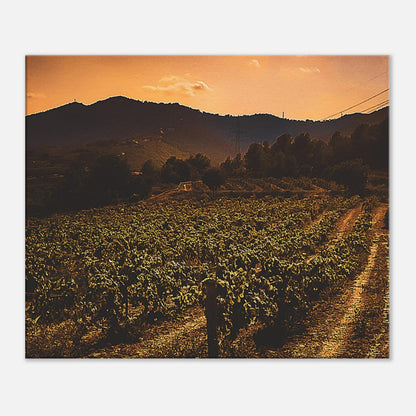 bb9391ba-45d0-481f-a71f-7e2d09419341