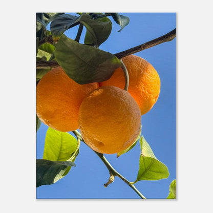 bb9b9186-0eca-469e-b7b7-6f46dd86d24e