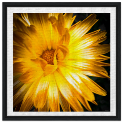 bbb122de-391c-4638-955d-7840a5850945