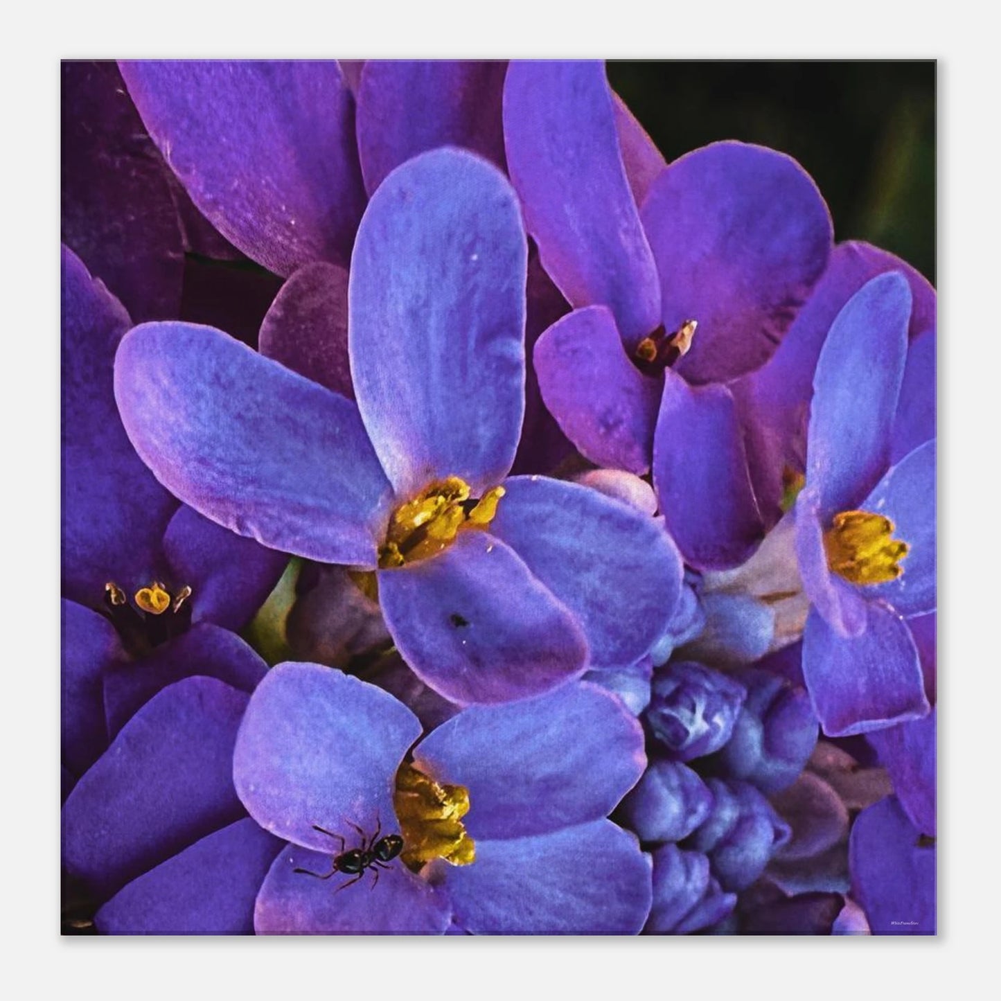 bbb51b8d-cb44-4ca9-94e6-dddb49bedd43