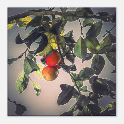 bbca0ac3-d3fc-41c0-8064-788063a61572