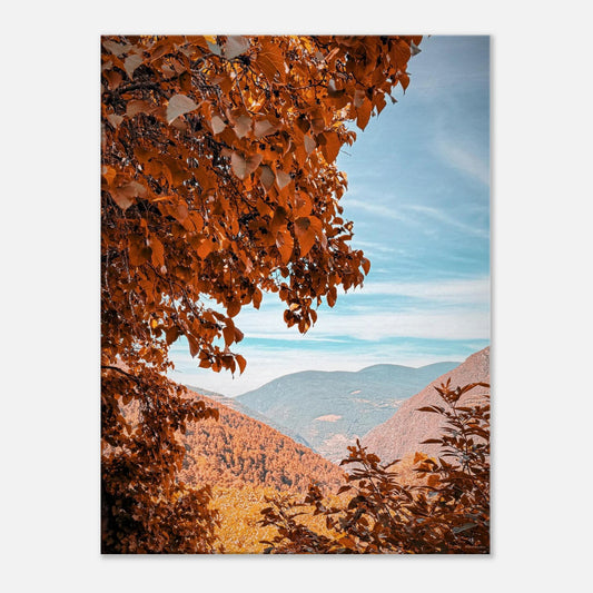 bbd25fe8-a7f9-4400-9b11-43457b11fc48