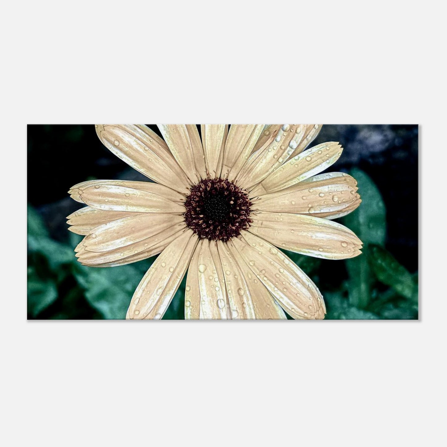 bbd9a8f2-7042-4272-8bc2-fa85c095f65b