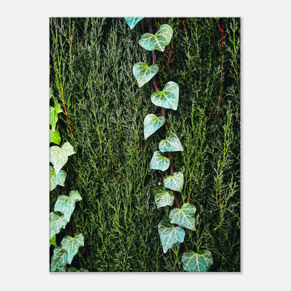 bbe65ae3-3e02-45b3-897e-e7cbb3a1025e