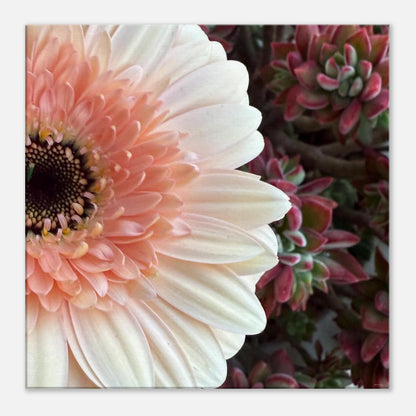 bc1bfb28-da8d-43a6-8690-cc21eeb5c842