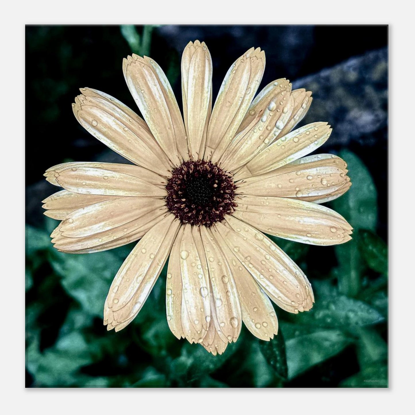 bc5413ef-44ae-472e-a7c5-7f8e99e4e6bf