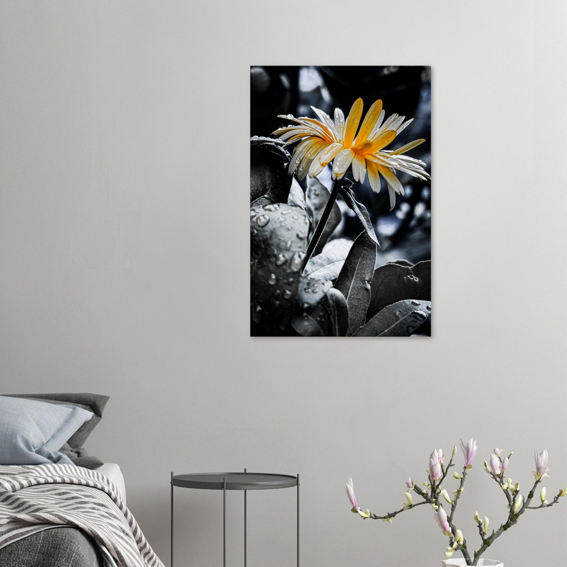 bc6037d9-0a09-44f0-bde6-e88f80b3be95