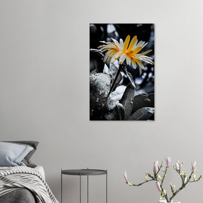 bc6037d9-0a09-44f0-bde6-e88f80b3be95