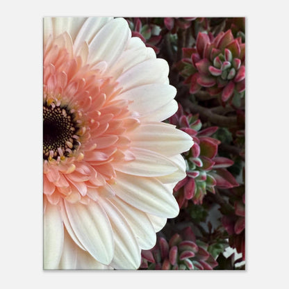 bc87d35a-e54c-4bf7-8850-0c8fb2879f8f