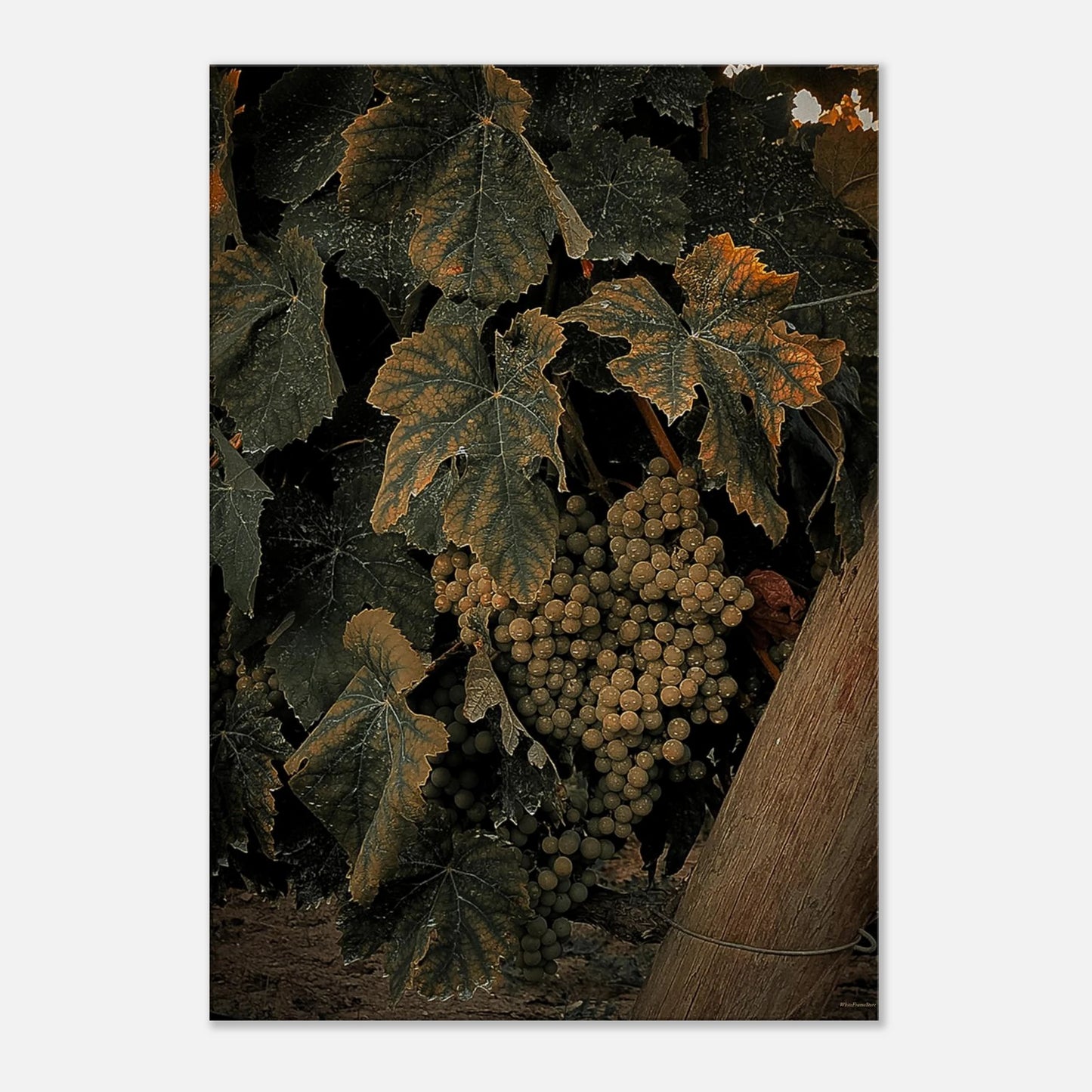 bcae6055-77cf-4b01-a73d-53624e6f647a