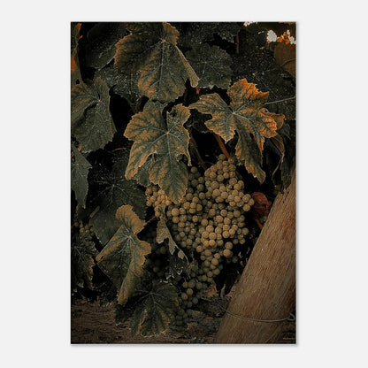 bcae6055-77cf-4b01-a73d-53624e6f647a