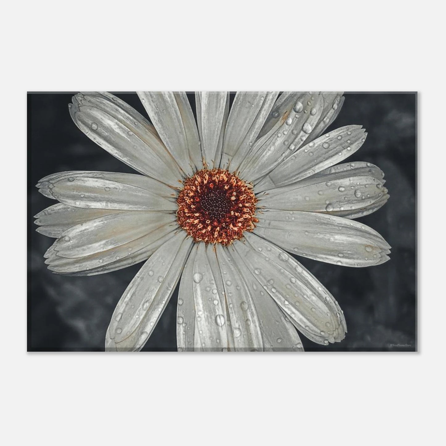 bcc800f5-f3ac-4bcd-ab0b-d0d1afdd6a5b