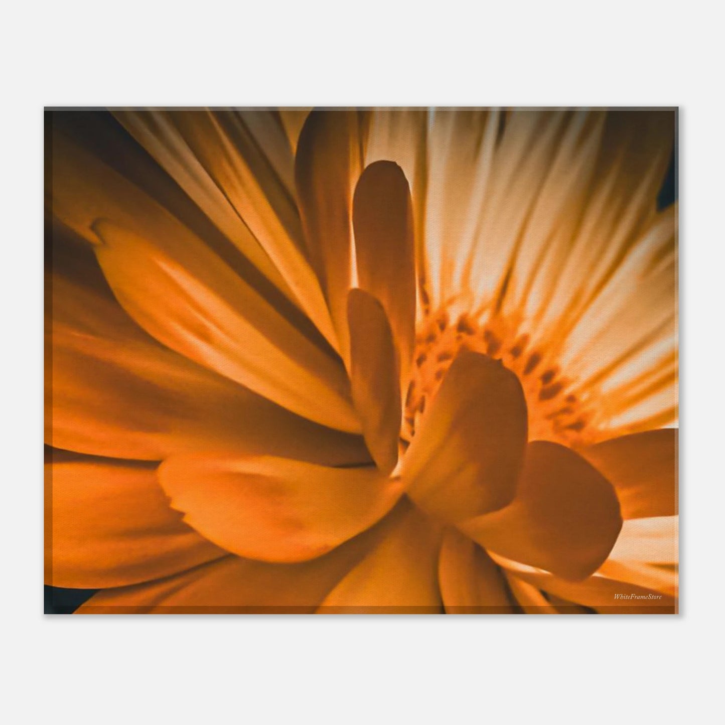 bccfdb53-ca54-415f-a80d-b2e93f8ee3b2