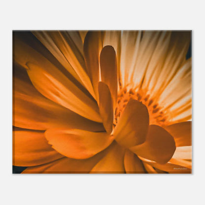 bccfdb53-ca54-415f-a80d-b2e93f8ee3b2