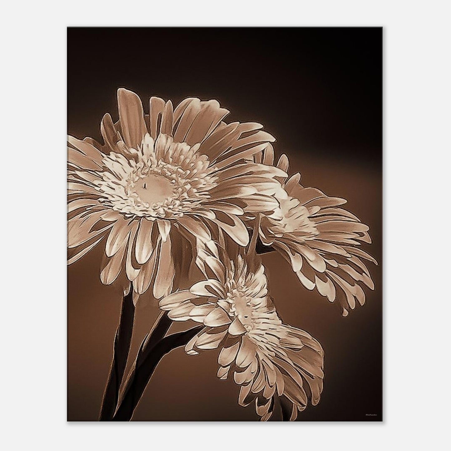 bd00f462-747f-4257-acf4-ca83ba7f1422