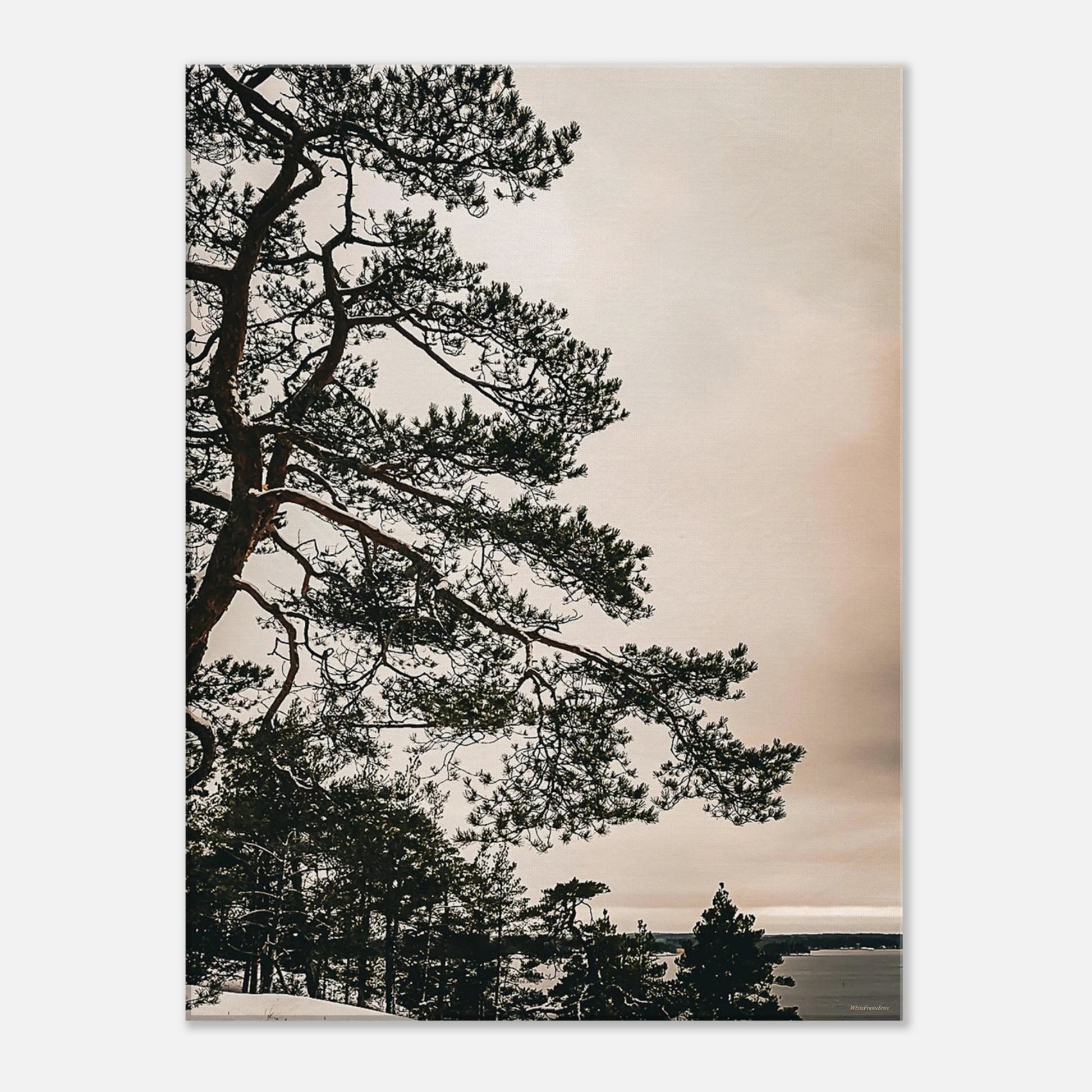 bd07a304-51d7-462b-8d53-8035972e3ad7