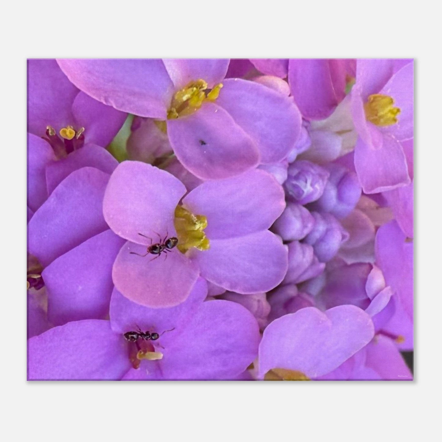 bd330bcd-e486-4bf0-9e00-c8ead5087784