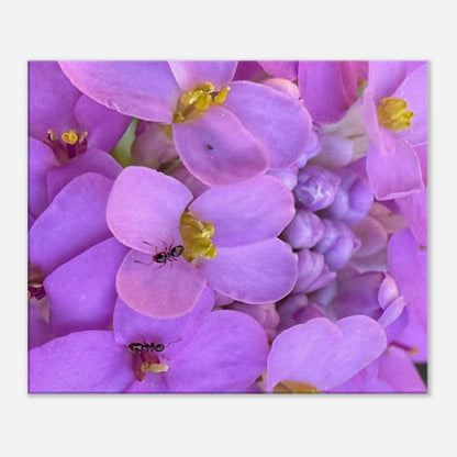 bd330bcd-e486-4bf0-9e00-c8ead5087784