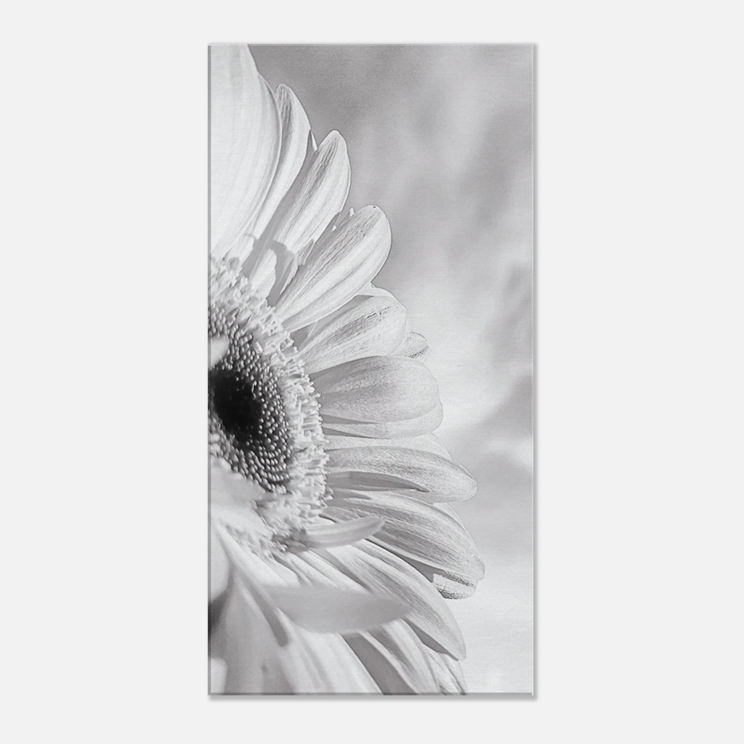 bd6e04d0-cba1-470f-a0b0-7133bf38f036