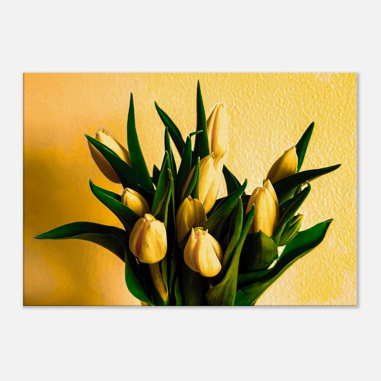 bd893319-1d10-405a-ae3f-eb8645f0b12d