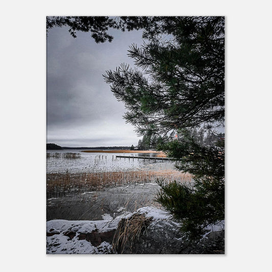 bd93b171-0b48-40eb-bec6-1b5fc432c8a0