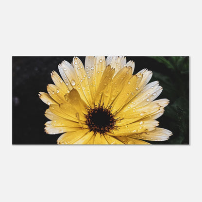 bdaddf89-365a-4ebc-9a6f-bc7ab6567cc0