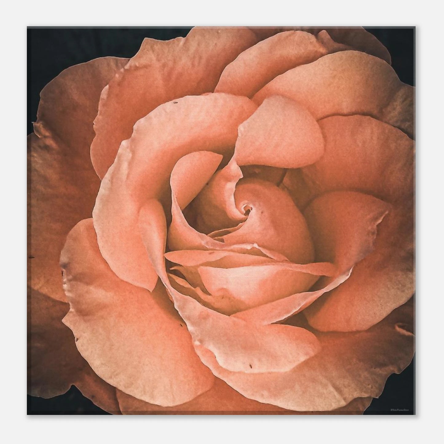 bdbcfdf1-220b-40cb-a36f-c33c630893c5