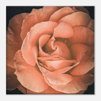 bdbcfdf1-220b-40cb-a36f-c33c630893c5