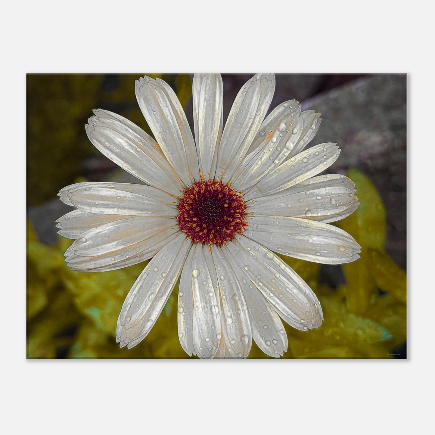 bdd47d0d-8c38-4d60-94eb-cf76eb4a454f