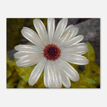 bdd47d0d-8c38-4d60-94eb-cf76eb4a454f