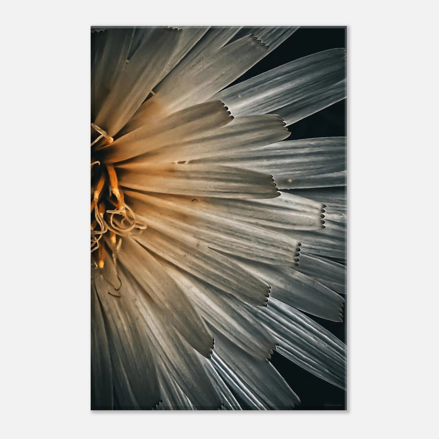 bdd50362-e178-41f7-af7d-f3c3fce03088