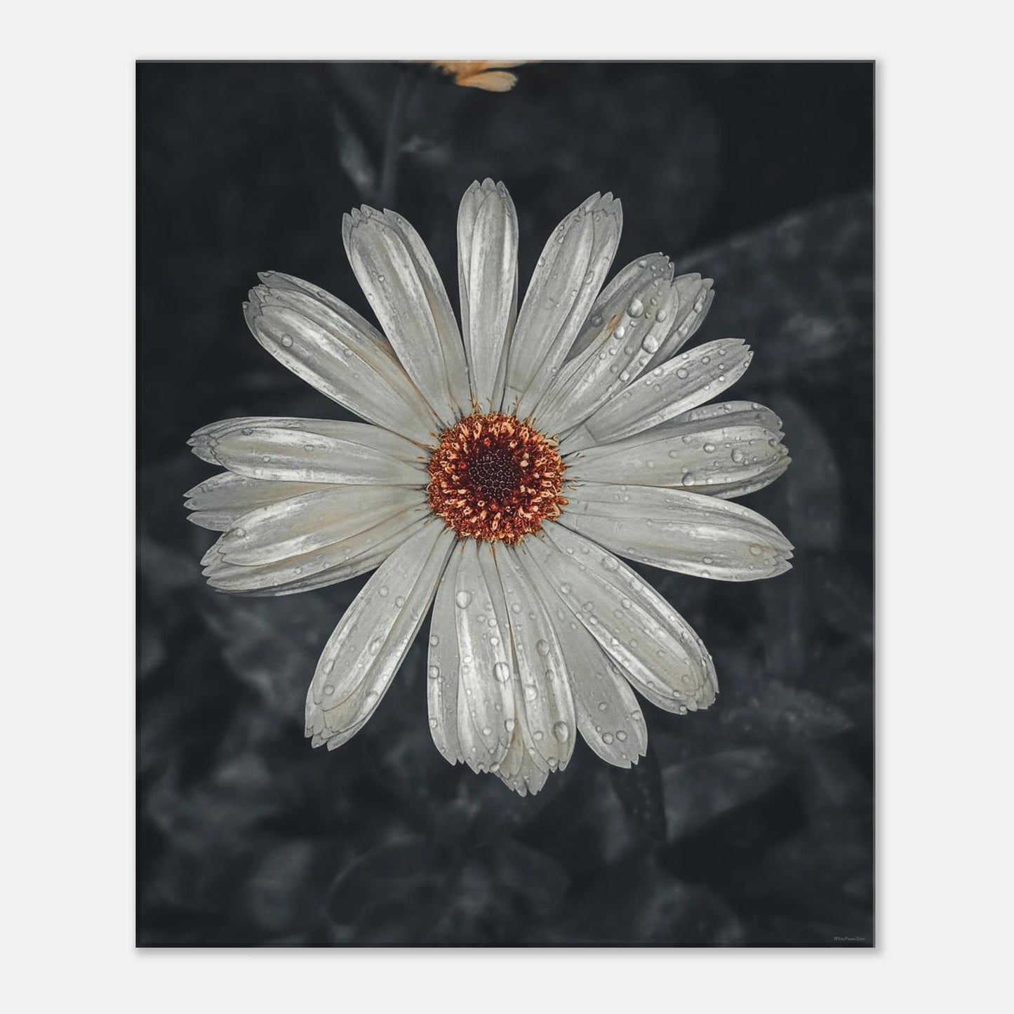 bdd5de9c-3836-433d-974c-300af4a7add1