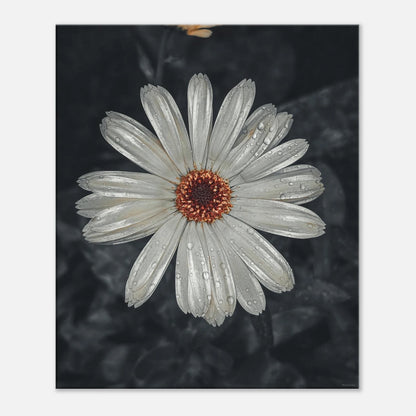 bdd5de9c-3836-433d-974c-300af4a7add1