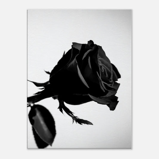 bddfebb2-7092-444e-b173-c5055cec18e9