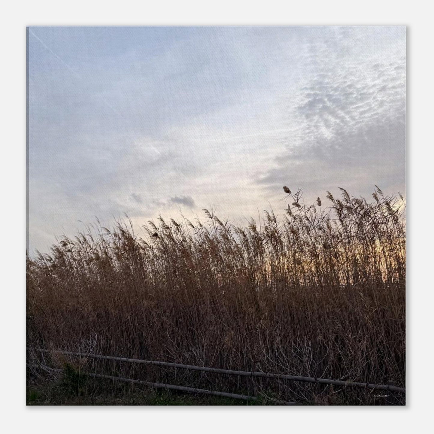 bdf185c7-8bb1-4632-b177-ccd24d8c737c