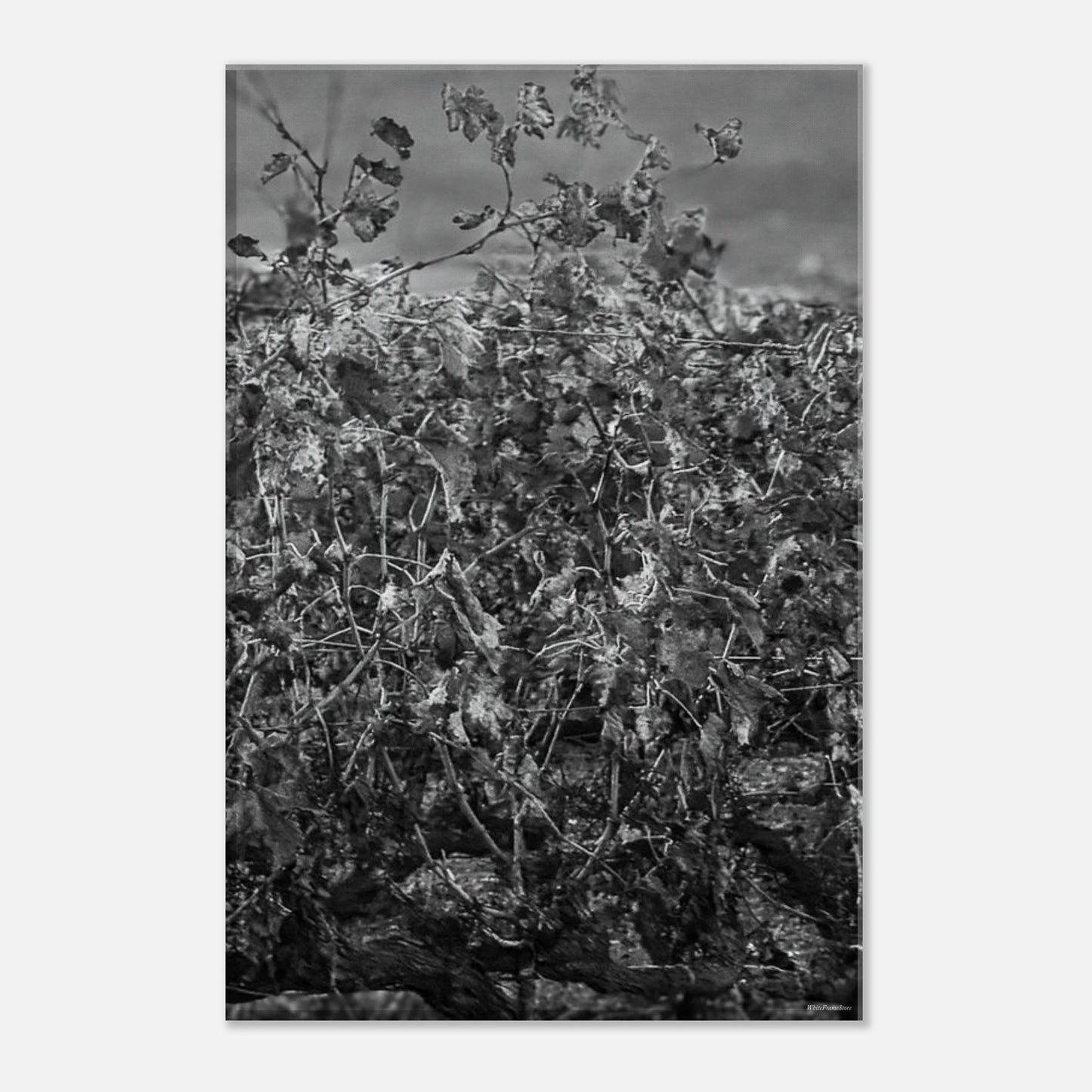 be1b85b5-6d16-4709-aa00-cebb30c2b95b