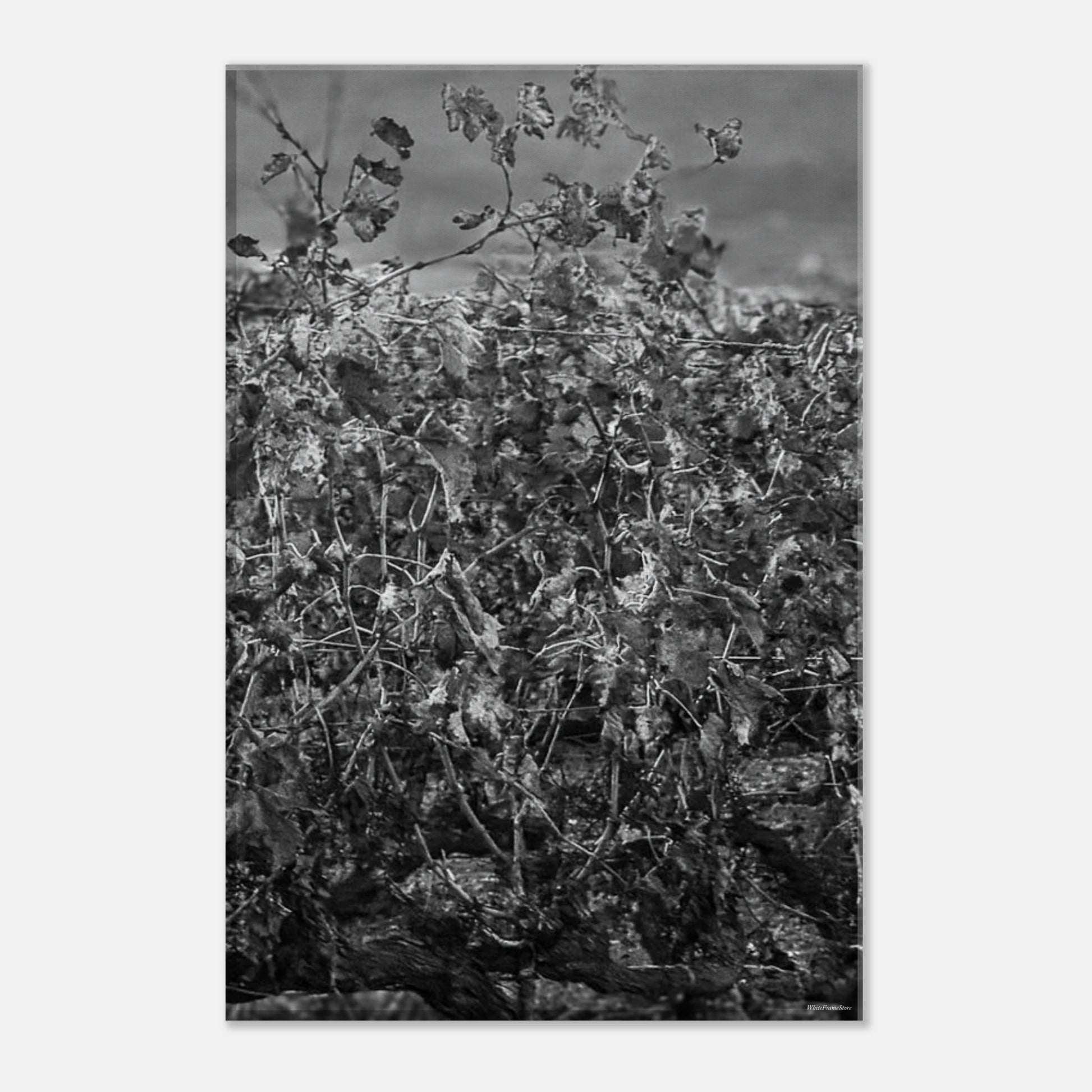 be1b85b5-6d16-4709-aa00-cebb30c2b95b