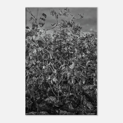 be1b85b5-6d16-4709-aa00-cebb30c2b95b